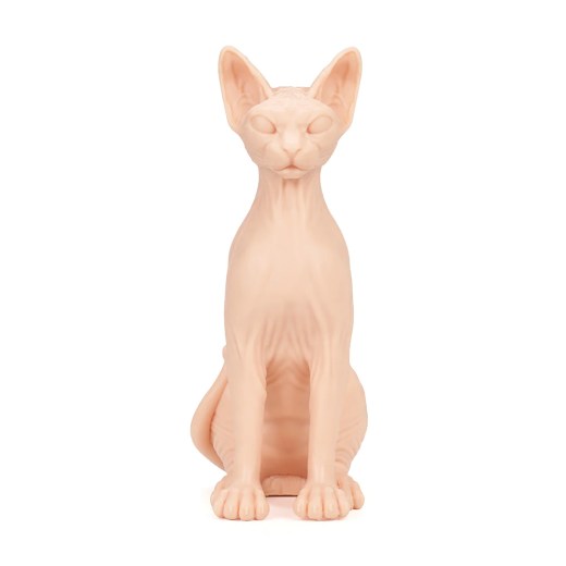 A Pound of Flesh Sphynx Naked Cat